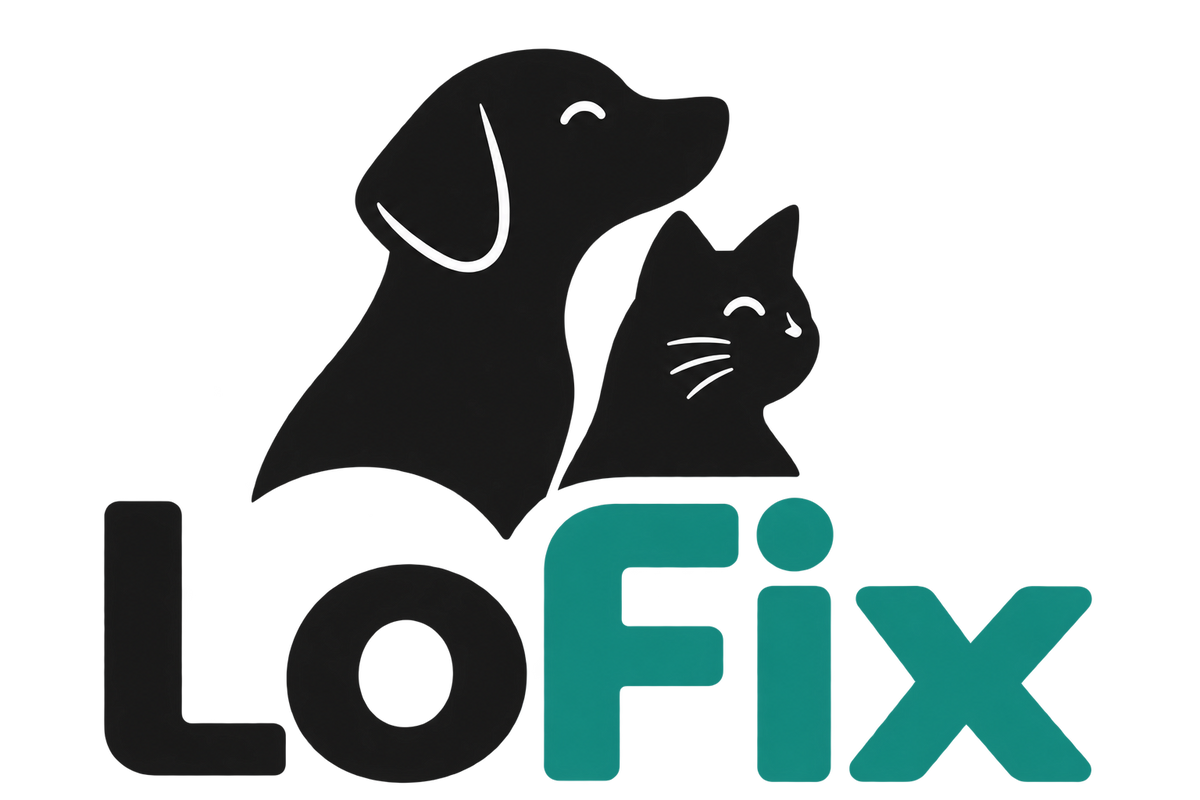 LoFix 